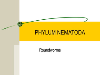 PHYLUM NEMATODA
Roundworms
 