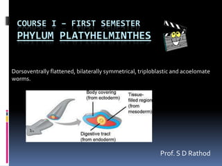 COURSE I – FIRST SEMESTER
  PHYLUM PLATYHELMINTHES


Dorsoventrally flattened, bilaterally symmetrical, triploblastic and acoelomate
worms.




                                                           Prof. S D Rathod
 