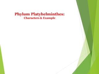 Phylum Platyhelminthes:
Characters & Example
 