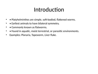 Introduction
• • Platyhelminthes are simple, soft-bodied, flattened worms.
• • Earliest animals to have bilateral symmetry.
• • Commonly known as flatworms.
• • Found in aquatic, moist terrestrial, or parasitic environments.
• Examples: Planaria, Tapeworm, Liver fluke.
 
