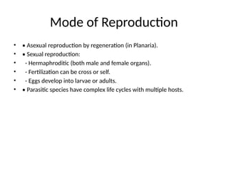Mode of Reproduction
• • Asexual reproduction by regeneration (in Planaria).
• • Sexual reproduction:
• - Hermaphroditic (both male and female organs).
• - Fertilization can be cross or self.
• - Eggs develop into larvae or adults.
• • Parasitic species have complex life cycles with multiple hosts.
 