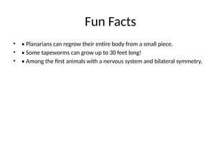 Fun Facts
• • Planarians can regrow their entire body from a small piece.
• • Some tapeworms can grow up to 30 feet long!
• • Among the first animals with a nervous system and bilateral symmetry.
 