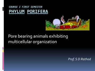 COURSE I FIRST SEMESTER
PHYLUM PORIFERA




Pore bearing animals exhibiting
multicellular organization


                                  Prof. S D Rathod
 