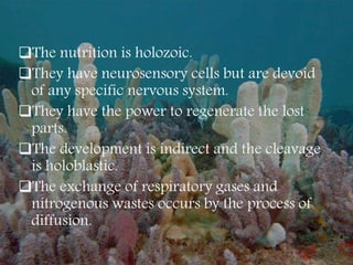The nutrition is holozoic.
They have neurosensory cells but are devoid
of any specific nervous system.
They have the power to regenerate the lost
parts.
The development is indirect and the cleavage
is holoblastic.
The exchange of respiratory gases and
nitrogenous wastes occurs by the process of
diffusion.
 