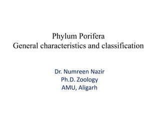 Phylum Porifera
General characteristics and classification
Dr. Numreen Nazir
Ph.D. Zoology
AMU, Aligarh
 