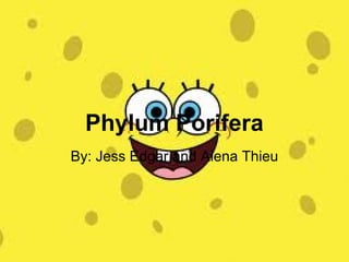 Phylum Porifera
By: Jess Edgar and Alena Thieu
 