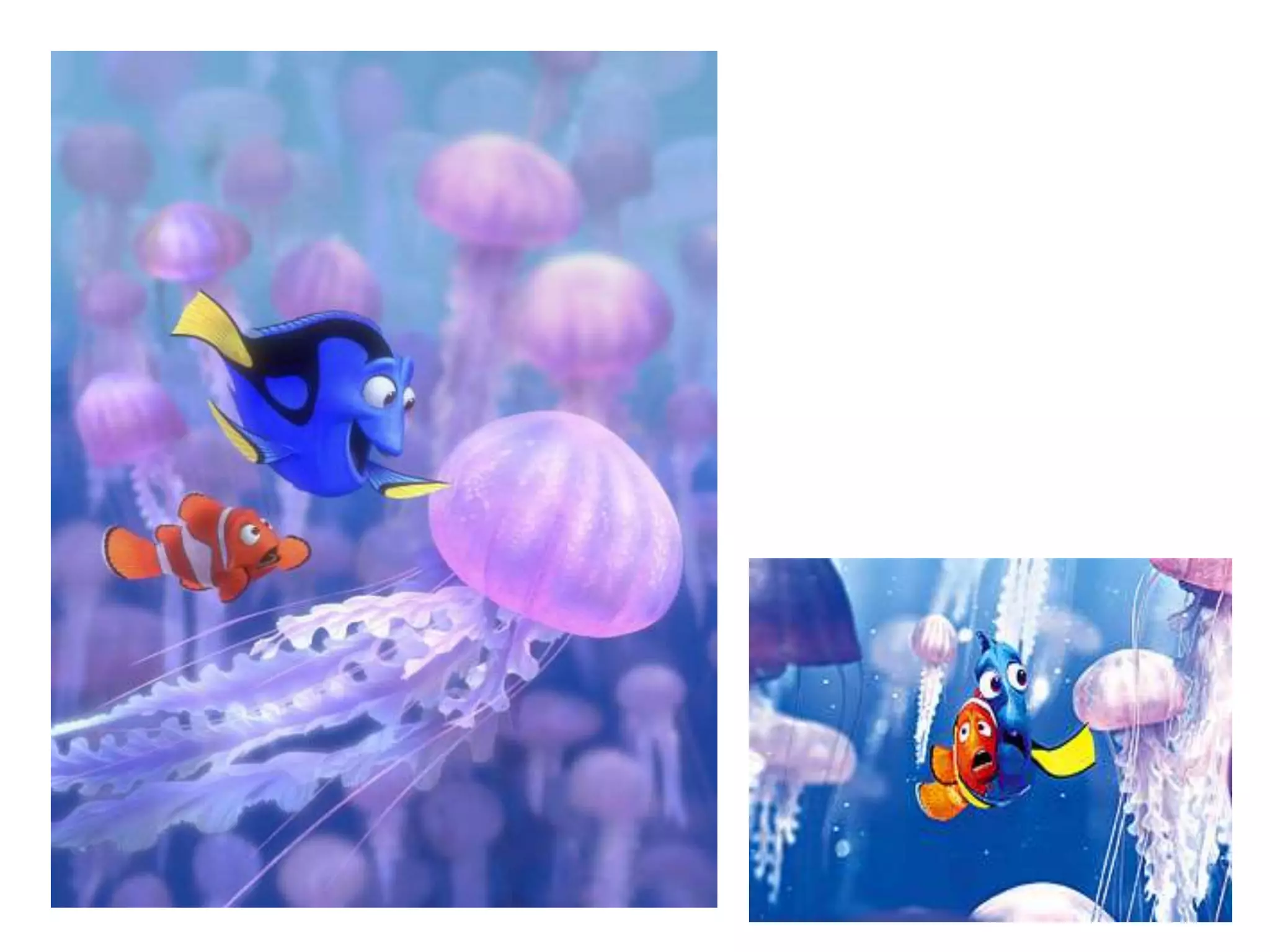 Phylum_Porifera_Cnidaria.ppt