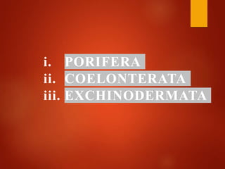 i. PORIFERA
ii. COELONTERATA
iii. EXCHINODERMATA
 