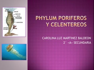 CAROLINA LUZ MARTINEZ BALDEON 
2° «A» SECUNDARIA 
 