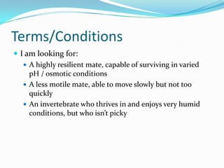 Phylum Presentation - Annelida