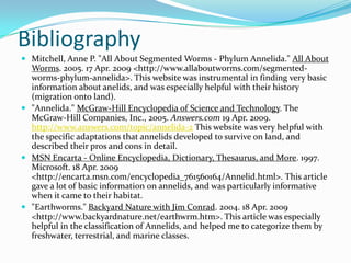 Phylum Presentation - Annelida