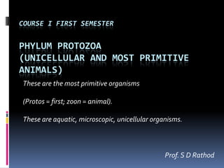 COURSE I FIRST SEMESTER


PHYLUM PROTOZOA
(UNICELLULAR AND MOST PRIMITIVE
ANIMALS)
These are the most primitive organisms

(Protos = first; zoon = animal).

These are aquatic, microscopic, unicellular organisms.



                                                Prof. S D Rathod
 