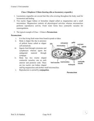 Course I: First semester


              Class- Ciliophora/ Ciliata (bearing cilia as locomotory organelle.)

   1. Locomotory organelles are several hair-like cilia covering throughout the body; used for
      locomotion and feeding
   2. Two nuclei; bigger kidney or horseshoe shaped called as meganucleus and a small
      micronuleus. Meganucleus controls all physiological activities whereas micronucleus
      performs reproductive activity. Fresh water forms have contractile vacuoles for
      osmoregulation.

   3. The typical example of Class – Ciliata is Paramecium.
Paramecium:
      i.   It is free living fresh water form found in ponds or lakes.
     ii.   Body is slipper like due to presence
           of pellicle hence called as slipper
           cell animalcule.
    iii.   Ingests food through cytostome and
           cytopharynx whereas egests the
           undigested        material      through
           cytopyge.
    iv.    Body has two rosette shaped
           contractile vacuoles; one on each
           anterior and posterior ends. There
           are two nuclei; one kidney shaped
           and big meganucleus and another small micronucleus.
     v.    Reproduction is carried by conjugation.
                                                                         Paramecium




                                                                                                 3
Prof. S. D. Rathod                          Copy No II
 