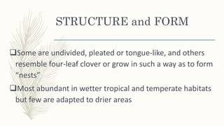 STRUCTURE and FORM
Some are undivided, pleated or tongue-like, and others
resemble four-leaf clover or grow in such a way as to form
“nests”
Most abundant in wetter tropical and temperate habitats
but few are adapted to drier areas
 