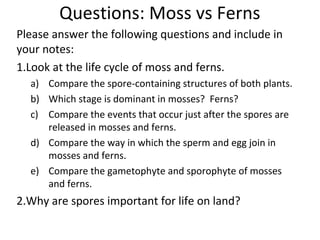 Questions: Moss vs Ferns
Please answer the following questions and include in
your notes:
1.Look at the life cycle of moss and ferns.
a) Compare the spore-containing structures of both plants.
b) Which stage is dominant in mosses? Ferns?
c) Compare the events that occur just after the spores are
released in mosses and ferns.
d) Compare the way in which the sperm and egg join in
mosses and ferns.
e) Compare the gametophyte and sporophyte of mosses
and ferns.
2.Why are spores important for life on land?
 