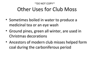 Other Uses for Club Moss
• Sometimes boiled in water to produce a
medicinal tea or an eye wash
• Ground pines, green all winter, are used in
Christmas decorations
• Ancestors of modern club misses helped form
coal during the carboniferous period
**DO NOT COPY**
 
