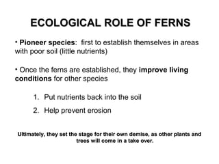 ECOLOGICAL ROLE OF FERNSECOLOGICAL ROLE OF FERNS
• Pioneer species: first to establish themselves in areas
with poor soil (little nutrients)
• Once the ferns are established, they improve living
conditions for other species
1. Put nutrients back into the soil
2. Help prevent erosion
Ultimately, they set the stage for their own demise, as other plants andUltimately, they set the stage for their own demise, as other plants and
trees will come in a take over.trees will come in a take over.
 