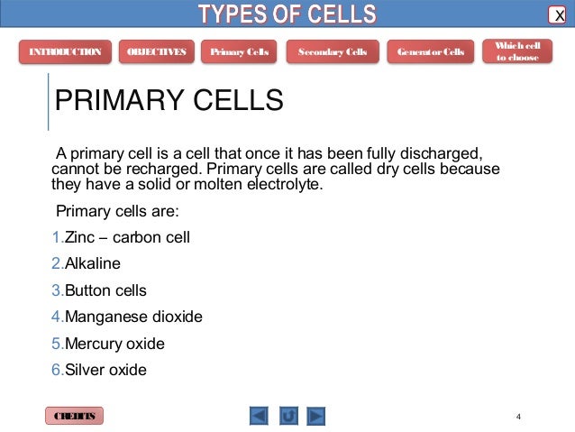 types of phyics m4 types of cells types of phyics m4 types of cells