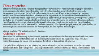 Tórax y pereion
El tórax posee un número variable de segmentos o toracómeros; en la mayoría de grupos consta de
ocho, aunque este número puede oscilar entre tres (ostrácodos) y once (notostráceos); cada
toracómero posee un par de apéndices llamados toracópodos. Cuando los primeros segmentos
torácicos se fusionan con la cabeza, el conjunto de segmentos no fusionados recibe el nombre de
pereion, cada uno de sus segmentos, pereionitos o pereiómero, y sus apéndices, pereiópodos. Como se
ha dicho, los primeros toracópodos tienen tendencia a transformarse en apéndices bucales auxiliares
(maxilípedos) y sirven para la manipulación del alimento. Los demás toracópodos (pereiópodos)
suelen relacionarse con la locomoción (nadar o caminar). En algunos grupos, como los peracáridos, las
hembras guardan los huevos entre los pereiópodos, en una especie de marsupio.
Véanse también: Tórax (artrópodos) y Pereion.
Abdomen o pleon
El número de metámeros y apéndices del pleon es muy variable, desde uno (ostrácodos) hasta 22 en
notostráceos (sin contar el telson). En muchos grupos el número de segmentos es de seis. Los
cirrípedos carecen de pleon. Los segmentos del pleon se denominan pleómeros.
Los apéndices del pleon son los pleópodos, que suelen faltar en los crustáceos no malacostráceos,
excepto el último par o urópodos. Los pleópodos tienen a menudo forma de pala y son utilizados para
nadar.
 
