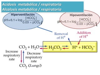 Acidosis metabólica / respiratoria
Alcalosis metabólica / respiratoria
     Hiperventilación                 Hipoventilación
 
