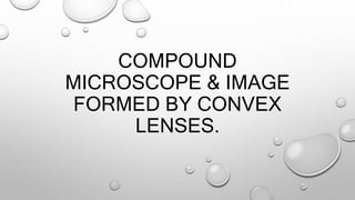 COMPOUND
MICROSCOPE & IMAGE
FORMED BY CONVEX
LENSES.
 