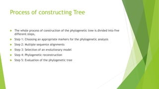 Process of constructing Tree
 The whole process of construction of the phylogenetic tree is divided into five
different steps,
 Step 1: Choosing an appropriate markers for the phylogenetic analysis
 Step 2: Multiple sequence alignments
 Step 3: Selection of an evolutionary model
 Step 4: Phylogenetic reconstruction
 Step 5: Evaluation of the phylogenetic tree
 