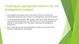 Choosing an appropriate markers for the
phylogenetic analysis
 Any biological information that can be used to infer the evolutionary
relationship among the taxa is known as a phylogenetic information marker.
 It can be anything like DNA, RNA, protein, RFLP, AFLP, ISSR, allozymes, and
conserved intronic positions, etc. Identification of conserved genetic loci
(coding- or non-coding) is the first step in analyzing the phylogenetic
relationship.
 Both coding (genes) and non-coding genetic region can be used for the
analysis of phylogenetic relationships.
 