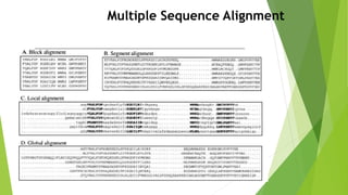 Multiple Sequence Alignment
 