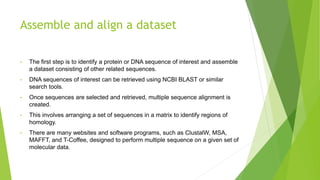 Assemble and align a dataset
• The first step is to identify a protein or DNA sequence of interest and assemble
a dataset consisting of other related sequences.
• DNA sequences of interest can be retrieved using NCBI BLAST or similar
search tools.
• Once sequences are selected and retrieved, multiple sequence alignment is
created.
• This involves arranging a set of sequences in a matrix to identify regions of
homology.
• There are many websites and software programs, such as ClustalW, MSA,
MAFFT, and T-Coffee, designed to perform multiple sequence on a given set of
molecular data.
 