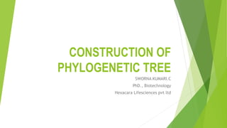 CONSTRUCTION OF
PHYLOGENETIC TREE
SWORNA KUMARI.C
PhD., Biotechnology
Hexacara Lifesciences pvt ltd
 