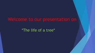 Welcome to our presentation on
*The life of a tree*
 