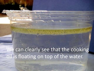 We can clearly see that the cooking
oil is floating on top of the water.
 