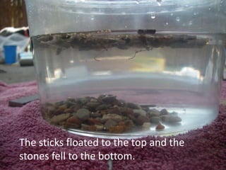 The sticks floated to the top and the
stones fell to the bottom.
 