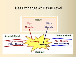 Po2 Pn2 Pco2 Respiratory #2, Gas Transport - Physiology | PPTX