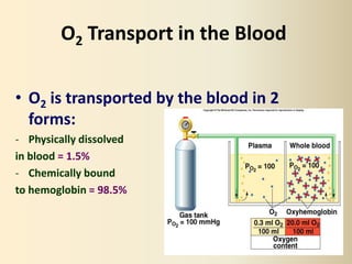 Respiratory #2, Gas Transport - Physiology | PPTX
