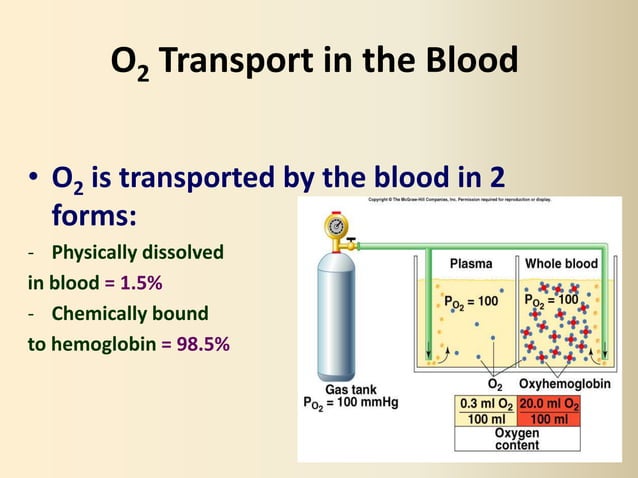 Respiratory #2, Gas Transport - Physiology | PPTX | Lung and ...