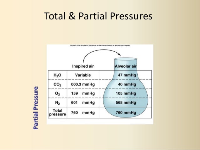 respiratory-2-gas-transport-physiology