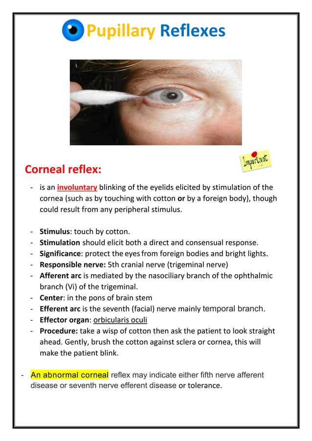 Pupillary reflexes physiology | PDF