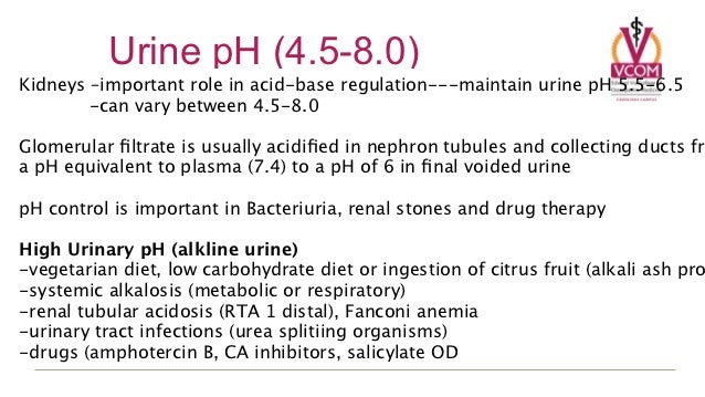Test To See If Your Diet Is Alkalineor Acidforming Test To See If Your Diet Is Alkalineor Acidforming