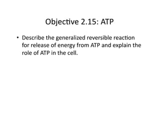 Objec&ve 2.15: ATP 
•  Describe the generalized reversible reac&on 
   for release of energy from ATP and explain the 
   role of ATP in the cell. 
 