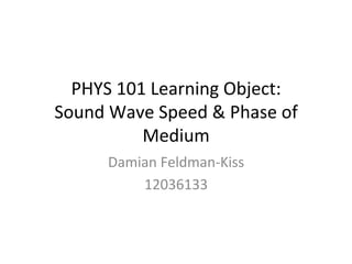 PHYS	
  101	
  Learning	
  Object:	
  
Sound	
  Wave	
  Speed	
  &	
  Phase	
  of	
  
Medium	
  
Damian	
  Feldman-­‐Kiss	
  
12036133	
  
 