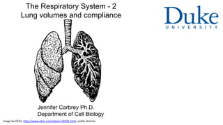 The Respiratory System - 2
Lung volumes and compliance
Jennifer Carbrey Ph.D.
Department of Cell Biology
image by OCAL, http://www.clker.com/clipart-26501.html, public domain
 