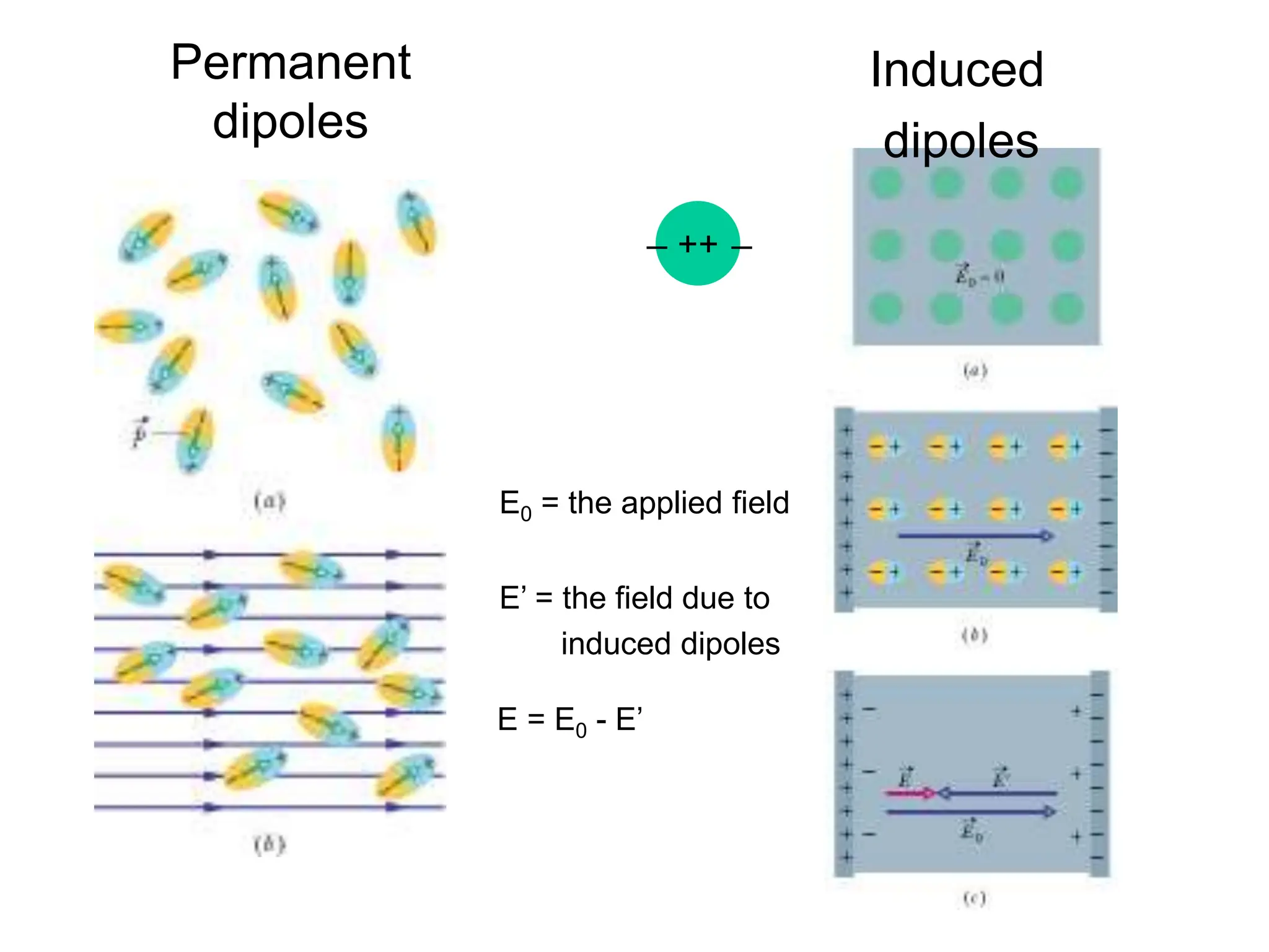 Permanent
dipoles
Induced
dipoles
++
_ _
E0 = the applied field
E’ = the field due to
induced dipoles
E = E0 - E’
 