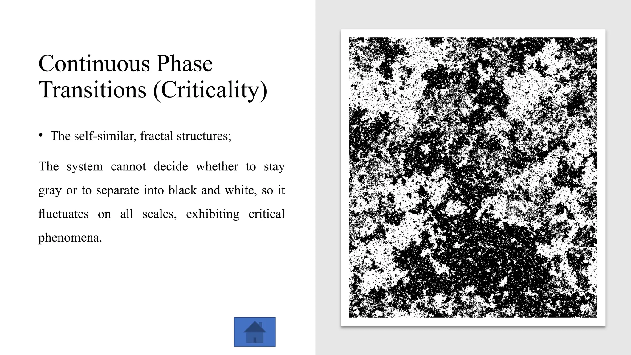 Continuous Phase
Transitions (Criticality)
• The self-similar, fractal structures;
The system cannot decide whether to stay
gray or to separate into black and white, so it
ﬂuctuates on all scales, exhibiting critical
phenomena.
 