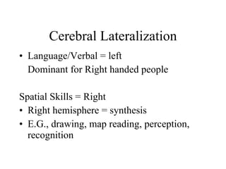 Cerebral Lateralization Language/Verbal = left Dominant for Right handed people Spatial Skills = Right Right hemisphere = synthesis E.G., drawing, map reading, perception, recognition 