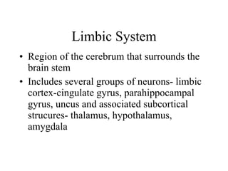 Limbic System Region of the cerebrum that surrounds the brain stem Includes several groups of neurons- limbic cortex-cingulate gyrus, parahippocampal gyrus, uncus and associated subcortical strucures- thalamus, hypothalamus, amygdala 