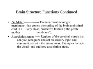 Brain Structure Functions Continued Pia Mater  -------------- The innermost meningeal membrane  that covers the surface of the brain and spinal cord in a  very close, protective fashion (“the gentle mother  membrane”). Association Areas  ----- Regions of the cerebral  cortex that  analyze, recognize and act on sensory input and  communicate with the motor areas. Examples include  the visual  and auditory association areas. 