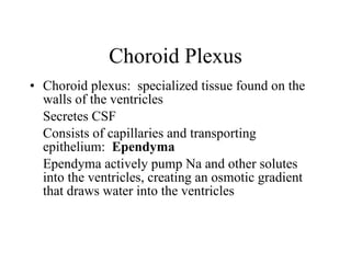 Choroid Plexus Choroid plexus:  specialized tissue found on the walls of the ventricles Secretes CSF Consists of capillaries and transporting epithelium:  Ependyma Ependyma actively pump Na and other solutes into the ventricles, creating an osmotic gradient that draws water into the ventricles 