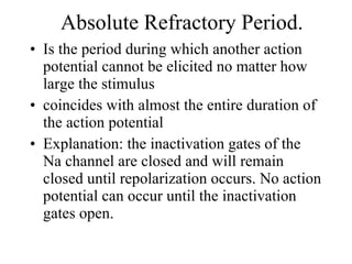 Absolute Refractory Period. Is the period during which another action potential cannot be elicited no matter how large the stimulus coincides with almost the entire duration of the action potential Explanation: the inactivation gates of the Na channel are closed and will remain closed until repolarization occurs. No action potential can occur until the inactivation gates open. 