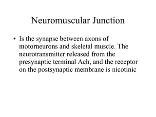 Neuromuscular Junction Is the synapse between axons of motorneurons and skeletal muscle. The neurotransmitter released from the presynaptic terminal Ach, and the receptor on the postsynaptic membrane is nicotinic 